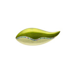 RIE SAKAMOTO COLLECTION 坂本これくしょんの艶やかで美しくとても軽い和木に漆塗りのアクセサリー 身につける漆 ブローチ さかな 螺鈿ライン ピスタチオ色 SAKAMOTO COLLECTION wearable URUSHI accessories Makie brooches Fish mother-of-pearl pistachio green 金箔に繊細な螺鈿ラインが目を惹く蒔絵、青貝箔の微妙な色差による重なりによりヨーロピアンテイストの艶やかで美しい格調あるオリジナルの格調ある人気のグリーンカラー、バチカン付きでペンダントとしても素敵に使えます。  #ブローチ #brooches #魚のブローチ #蒔絵のブローチ #金箔蒔絵 #FishBrooches #螺鈿蒔絵 #ピスタチオ色 #PistachioGreen #軽いブローチ #漆のブローチ #漆のアクセサリー #漆塗り #軽さを実感 #身につける漆 #坂本これくしょん #会津 