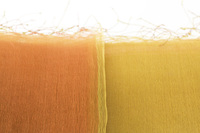まるで羽衣のような軽やかさが特徴のとても使いやすいシルクオーガンジーストール 花衣 はなごろも ローズピンク オレンジ ミモザ グラデーション URUSHI SAKAMOTO silk organdy scarf Hana-Koromo Orange & Mimosa gradation 坂本理恵が長年愛用している携帯にも便利な大ぶりタイプ、熟練した職人の手織り・手染めならではの緻密さと繊細なフリンジ、人の手の作り出す温かみを感じるシルク製スカーフ、オレンジ＆ミモザグラデーション色の組み合わせが新鮮、軽やかで美しいくプレゼントにもおすすめです。 イメージ写真5
