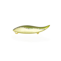 坂本これくしょんの艶やかで美しくとても軽い和木に漆塗りのアクセサリー 身につける漆 ブローチ さかな 螺鈿ライン ピスタチオ色 SAKAMOTO COLLECTION wearable URUSHI Makie brooch Fish mother-of-pearl pistachio green 金箔に繊細な螺鈿ラインが目を惹く蒔絵、ヨーロピアンテイストの艶やかで美しい格調あるグリーンカラー。 イメージ写真4